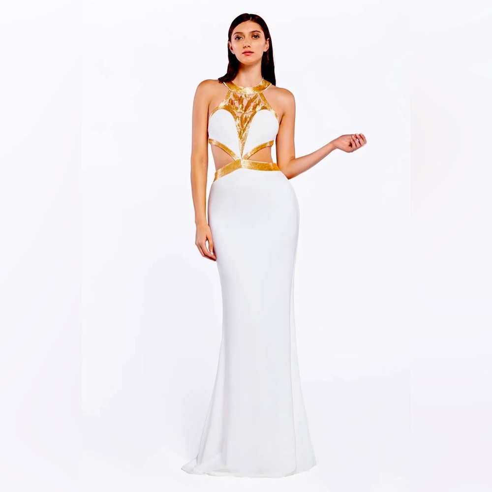 Long Fitted Dress